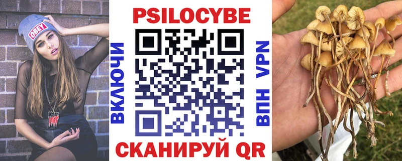 Купить закладки  Зеленогорск  Галлюциногенные грибы мухоморы 